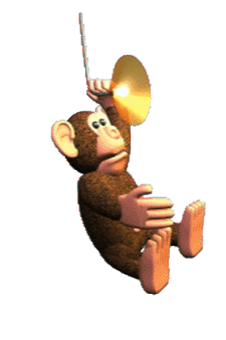 monkey.jpg